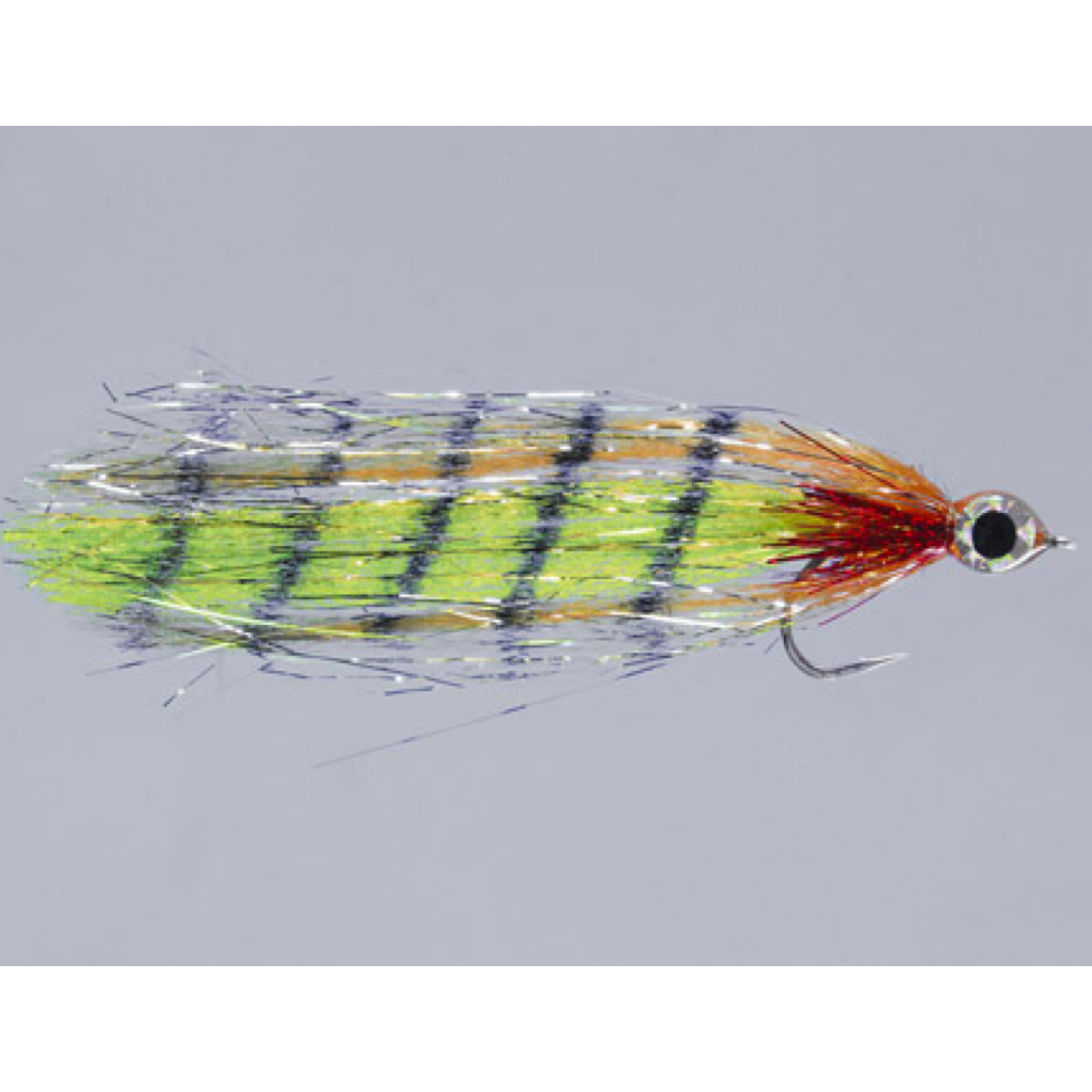 Rainy's Barred Peacock Predator Fly