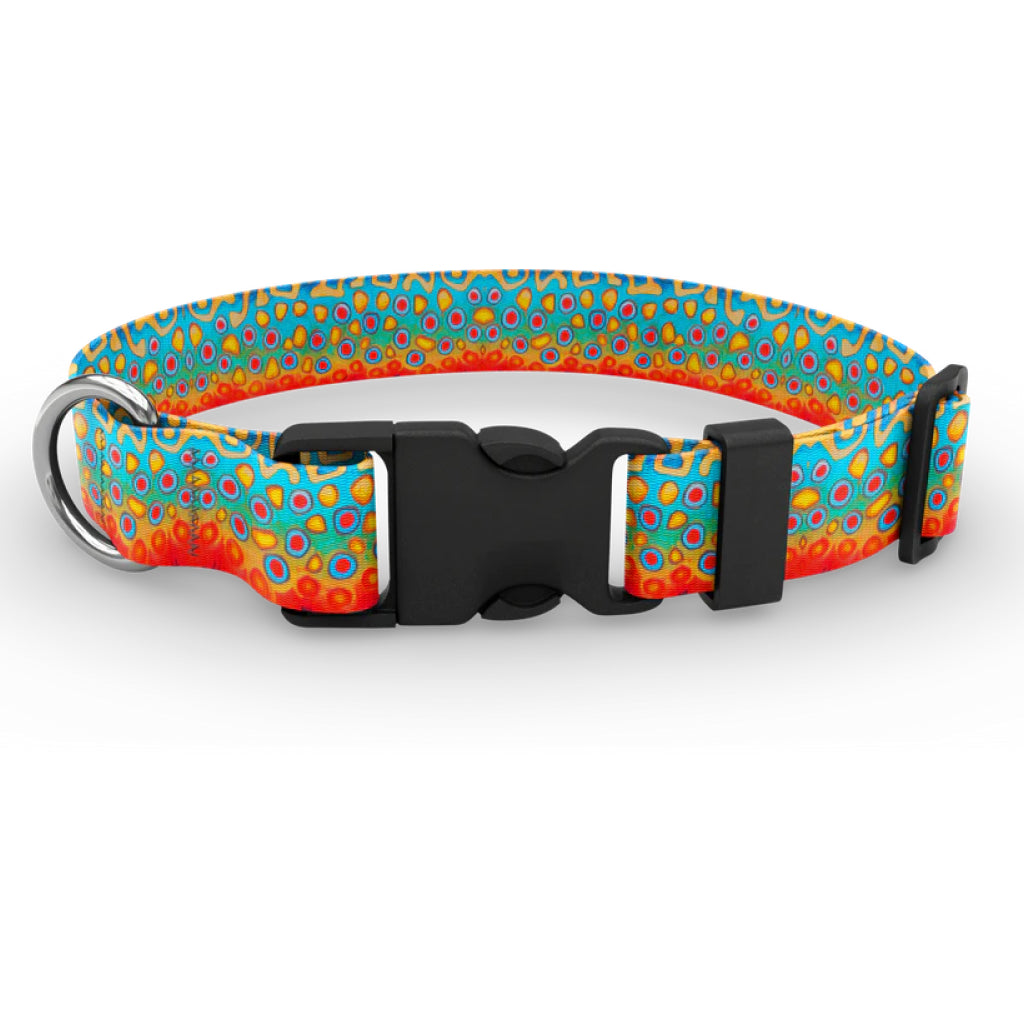 Wingo Dog Collar