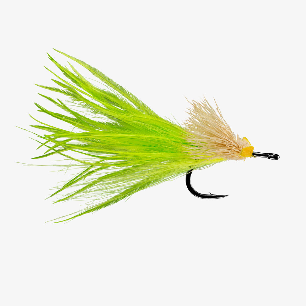 Rio Dread Pirate Fly