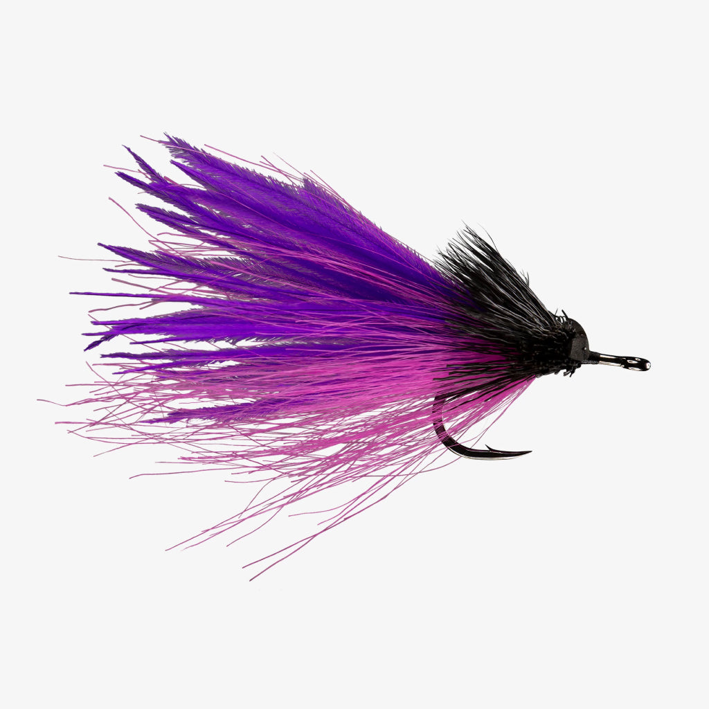 Rio Dread Pirate Fly