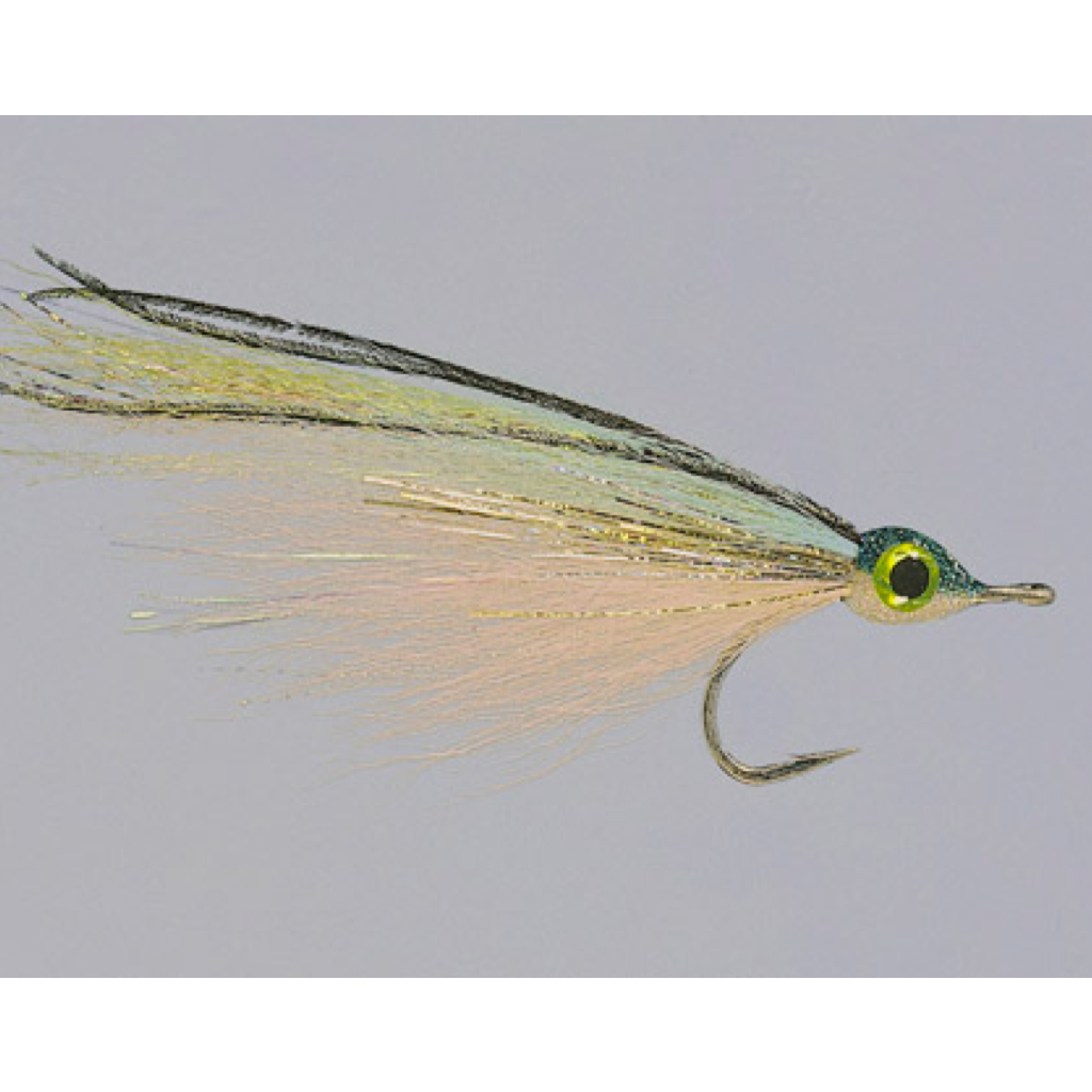 Rainy's Robrahn's Bluewater Sardina Fly