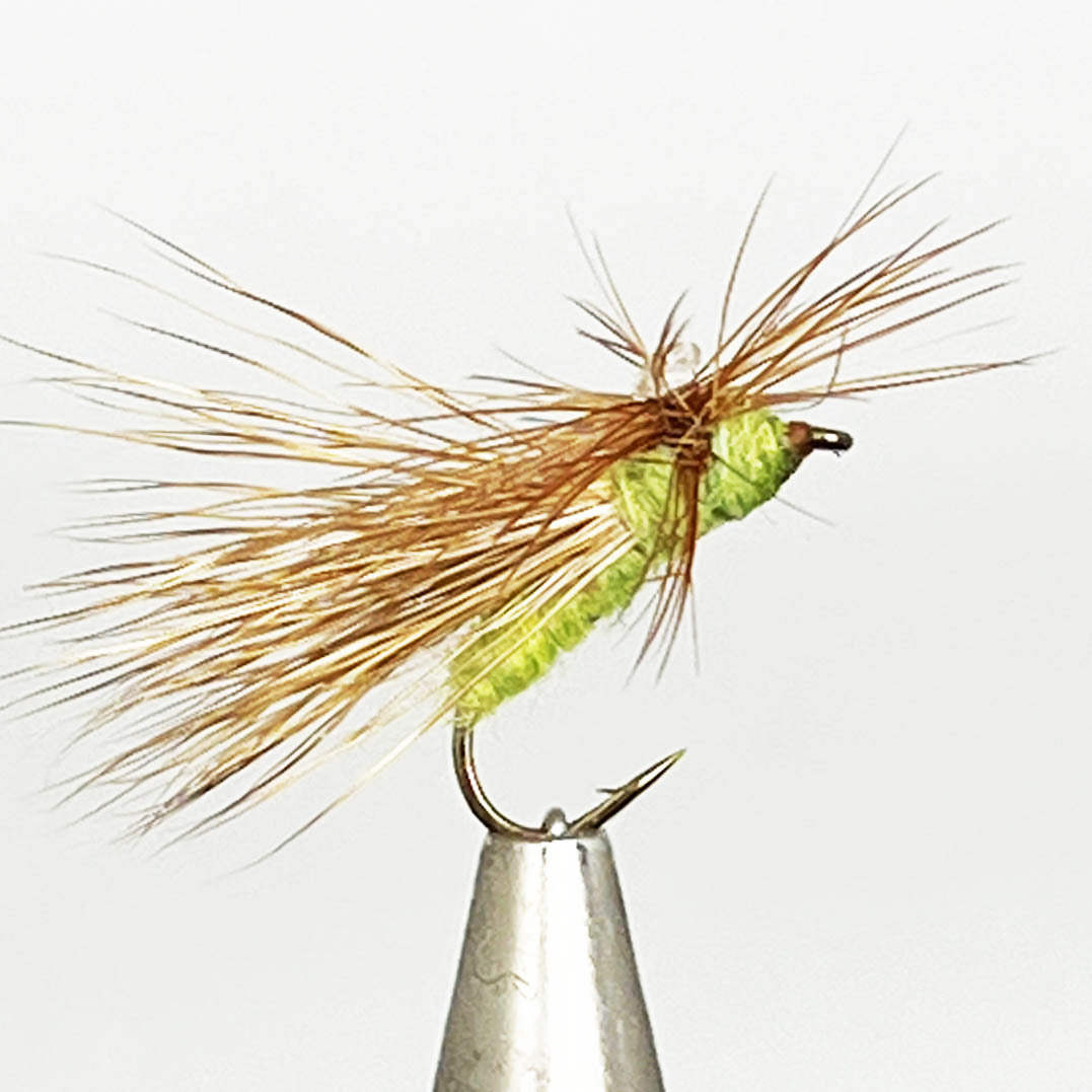 Apple Caddis